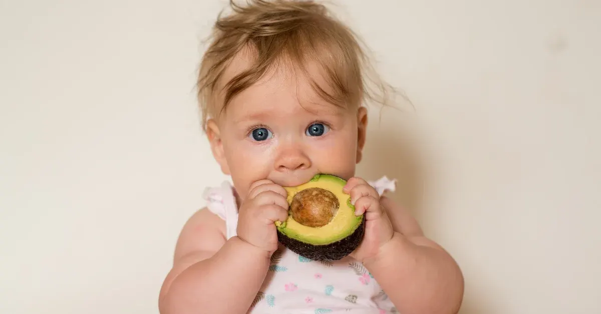 advocado baby
